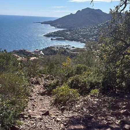 Arc-en-ciel 5 Star App A With Stunning Seaview * Theoule-sur-Mer